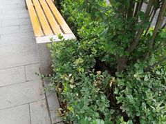 -新百广场(中山西路店)