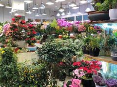 -双季花艺园艺市场(浦东店)