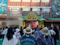 -西双版纳原始森林公园