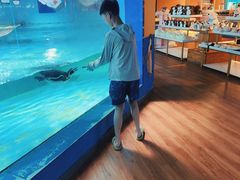 -北戴河圣蓝海洋公园