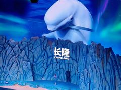 -珠海长隆海洋王国