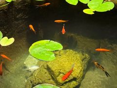 -31号公馆(黄兴广场白果园店)