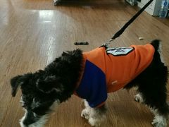 -拳盛时代拳击俱乐部(北京路店)