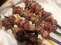 红柳枝羊肉串-湘里乡亲甲王二老店