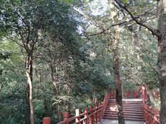 -紫金山山顶公园