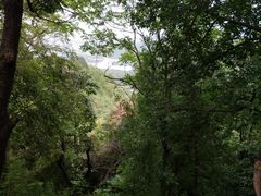 -北京十三陵国家森林公园蟒山景区