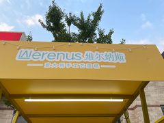 -维尔纳斯·生日蛋糕动物奶油冰淇淋蛋糕(人大店)