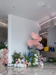 -HYOUNG 禾漾·BTL官方美学中心