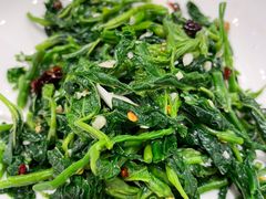 -紫光园·烤鸭·北京菜(劲松店)