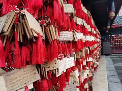 -峨眉山报国寺