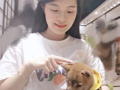 -逗柴咖啡屋·狗咖猫咖宠物桌游