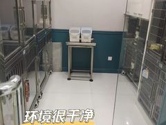 -顽皮家族宠物医院(浦东北园路分院)