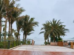 -太平洋咖啡(海滨泳场店)