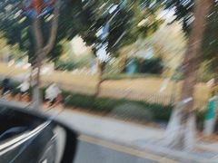 -景田北六街公园宠物主题园