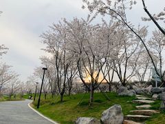 -羊山湖公园