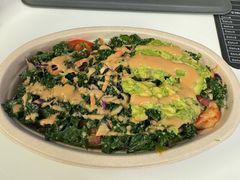 -油梨树 AVOCADO TREE(亮马桥店)