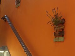 -泰古龙抓龙筋·spa按摩(静安店)