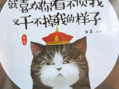 -猫的天空之城概念书店(景德镇陶溪川店)
