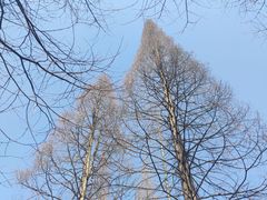 -花溪公园