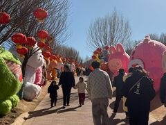 -青藏高原野生动物园