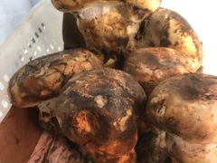 -菌之家·专业纯野生菌火锅·特色炒菌
