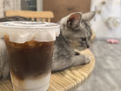-楼上猫咖(罗湖店)