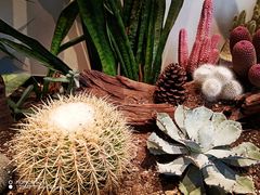 -J Create城市露营咖啡·简餐·宠物(上海动物园店)