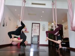 点击看大图 -Yvon yoga 瑜伽·精准体态管理中心