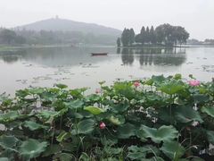 -无锡新湖铂尔曼大酒店