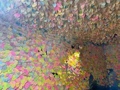 -阿信厚吐司(曾厝垵店)