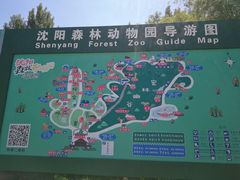 -长白岛森林公园