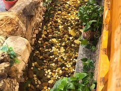 -清真·京华源铜锅涮肉(丰庆店)