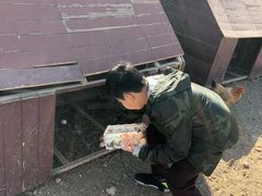 -甜心庄园·甜心草莓采摘园(西青中北店)