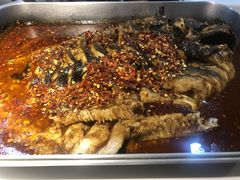 -鱼酷活鱼烤鱼(中联广场店)