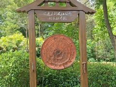 -南宁良凤江国家森林公园