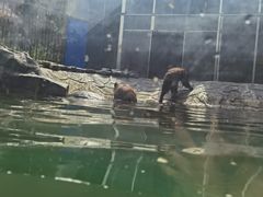 -石燕湖生态旅游景区