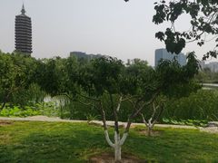 -西海子公园