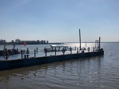 -呼兰河口湿地公园