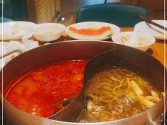 -青瓷火锅料理(西单大悦城店)