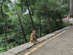 -黔灵山公园