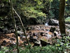 -江西阳明山国家森林公园