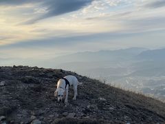 -萍乡武功山风景名胜区