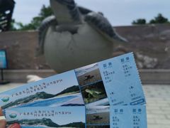 -广东惠东海龟国家级自然保护区