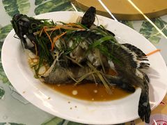 -四姑娘川味海鲜(八爪鱼店)