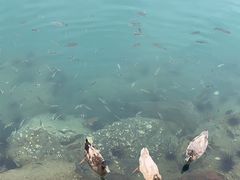 -麦哲伦丝绸度假村