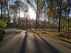 -东郊湿地公园