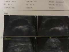 -宠爱国际动物医院·疑难骨科·心肾内科·皮肤科(太阳宫店)