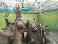 -荆州中山公园动物园