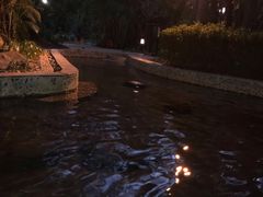 -三亚珠江南田温泉度假区