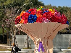 -东南花都花博园